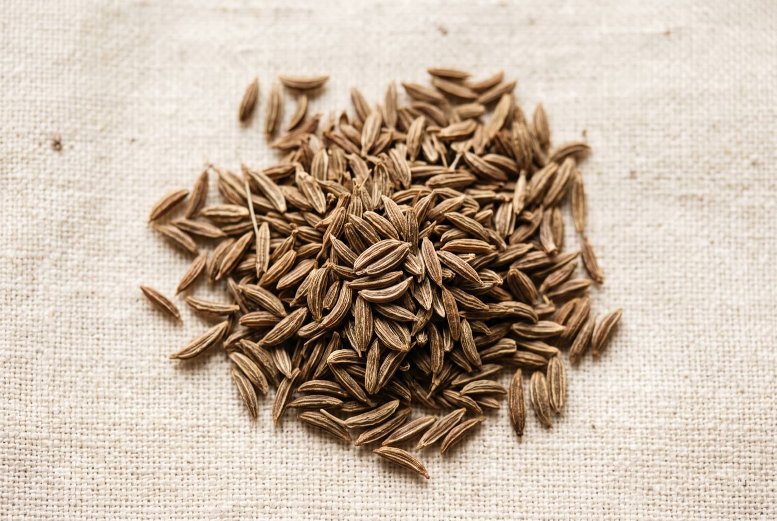 Cumin Seeds (Jeera) — Cuminum cyminum
