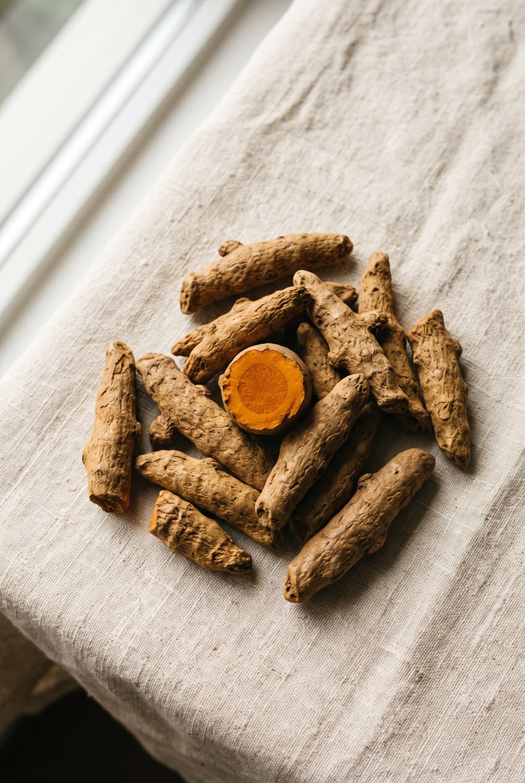 Turmeric — Curcuma longa