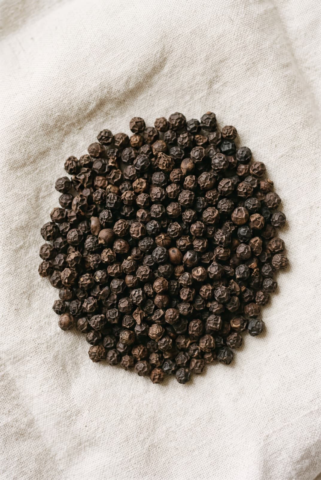 Black Pepper — Piper nigrum