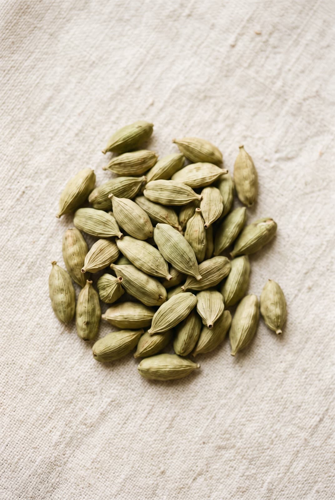 Green Cardamom — Elettaria cardamomum